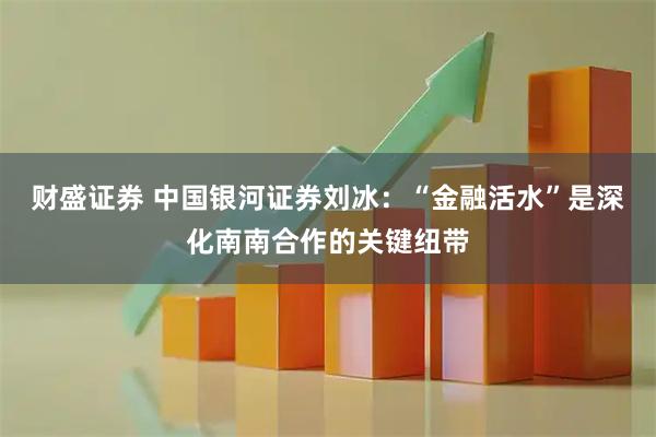 财盛证券 中国银河证券刘冰:“金融活水”是深化南南合作的关键纽带