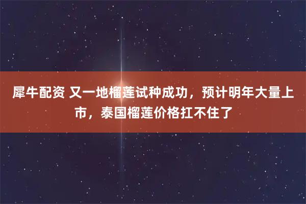 犀牛配资 又一地榴莲试种成功,预计明年大量上市,泰国榴莲价格扛不住了