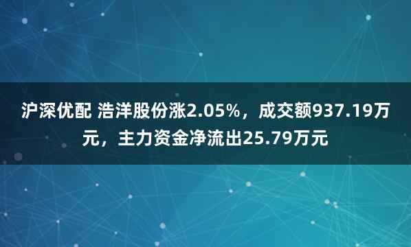 沪深优配 浩洋股份涨2.05%,成交额937.19万元,主力资金净流出25.79万元