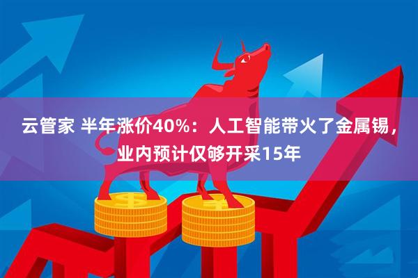 云管家 半年涨价40%：人工智能带火了金属锡，业内预计仅够开采15年